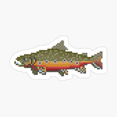 Trout