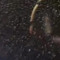 Wanadfg123