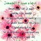 Alaa Aly