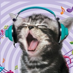bass baby