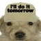 i’ll do it tomorrow