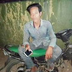 Dandi