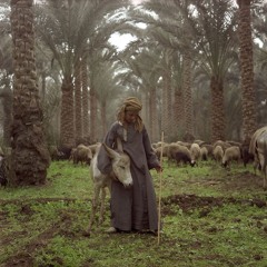 محمد