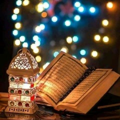 Naglaa Mohamed