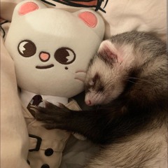 가장 펠릭스 팬!♡