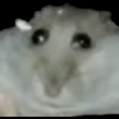 mattslmao