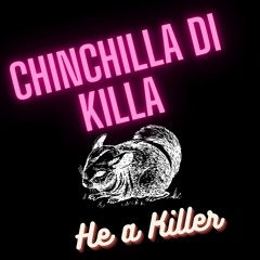 CHINCHILLA DI KILLA