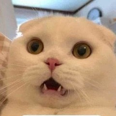 Dũng Trần :3