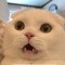 Dũng Trần :3