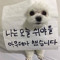 ㅎㄹㄱㄱ ㅍㄹ