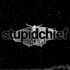 stupidchief