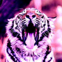 Tiger Tongue