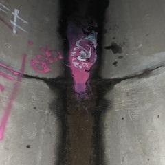 Dothidéo