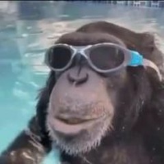 Илюха Горбаток