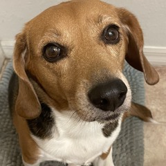 Giovani Leon Maldonado