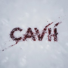 Cavii