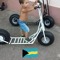 Nicu-Sergiu Alb