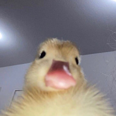 Mochi