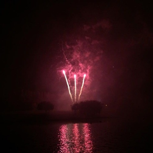Majik - Animal (Remix)
