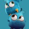 Youssef/Joe