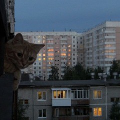 alexey_1783