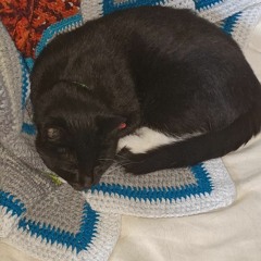Willja