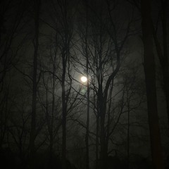 Moonlight