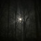 Moonlight
