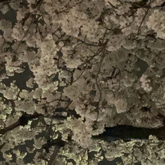 10301