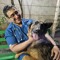 nima veterinarian 🤠
