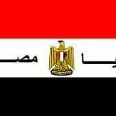 زكريا الشافعى