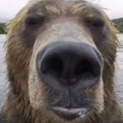 drumNbrown