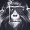 MoNkE Music