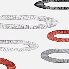 Case Study Project Space