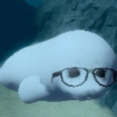 𓍢ִ✧˚. i lov whale sharks 🐋