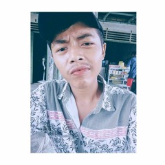 ARIS MNDR▽