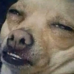 EGGIZ10