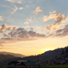 Zura Tsilosani