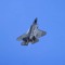 SoaringEagle175