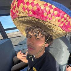 berthelotkyle