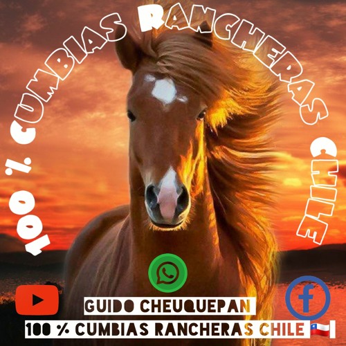 100 % CUMBIA RANCHERA CHILE  🇨🇱’s avatar