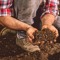 A handful of dirt