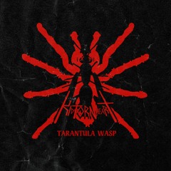TARANTULA WASP