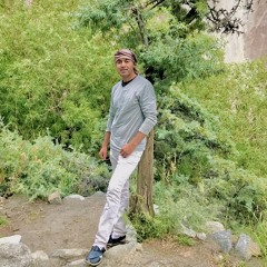 Maddy Madad Shafa