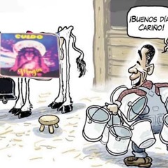 q hay?