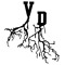 Voodoo Vincee