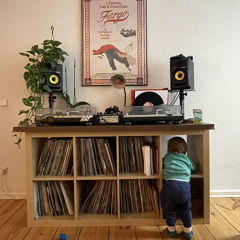 weirdlookingflamingo