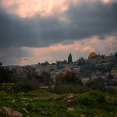 دنيا  نمر