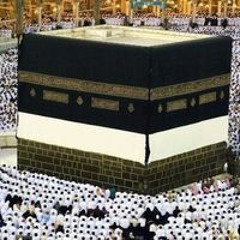 د.اسماء عبده