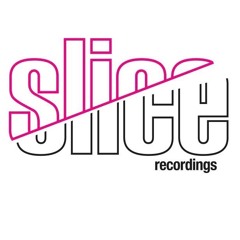 slice recordings